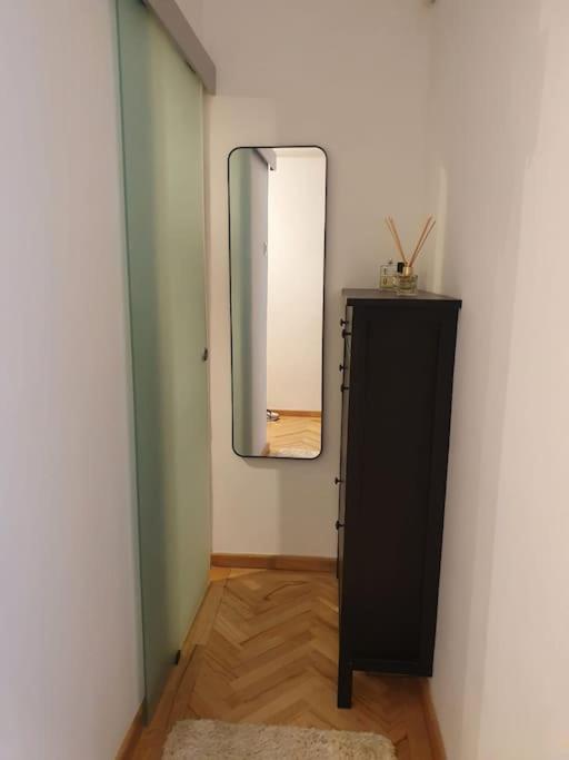Spacious And Quiet 1Br Apartment In Floreasca Bucureşti Ngoại thất bức ảnh