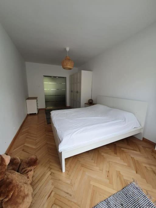 Spacious And Quiet 1Br Apartment In Floreasca Bucureşti Ngoại thất bức ảnh